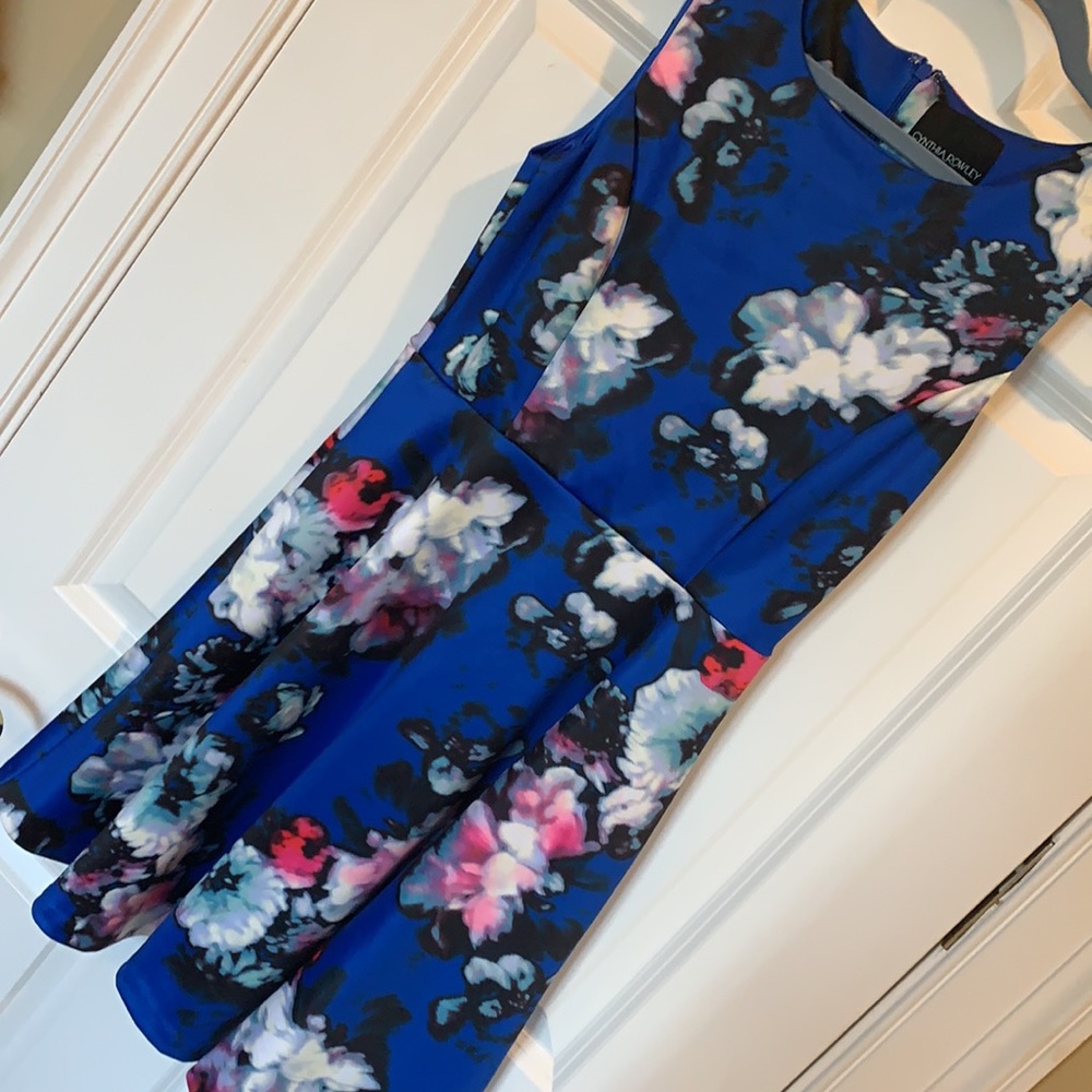 Cynthia Rowley Fit and Flare Dress